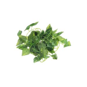 مجموعة أوراق نبات البوتس فاين الصناعية – قطعة واحدة أخضر 2.2متر - السعودية